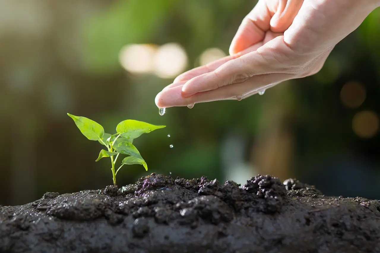 soziale Verantwortung bei Green Teamevents
