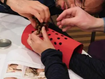 The_Hand_Project_2.jpg