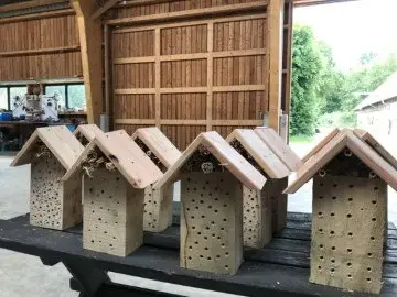 Green Event Insektenhotels bauen