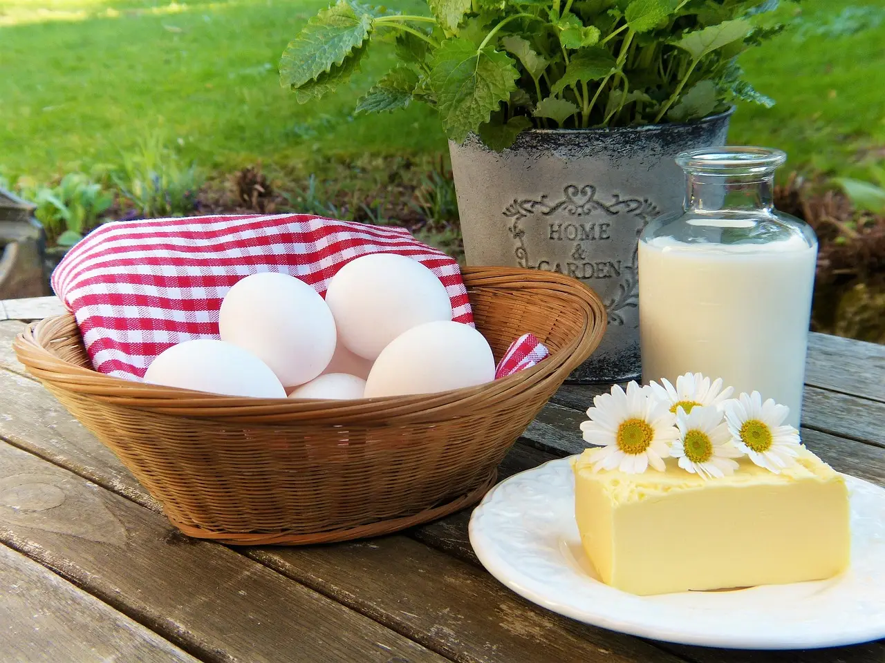 Nachhaltiges Catering für Green Teamevents